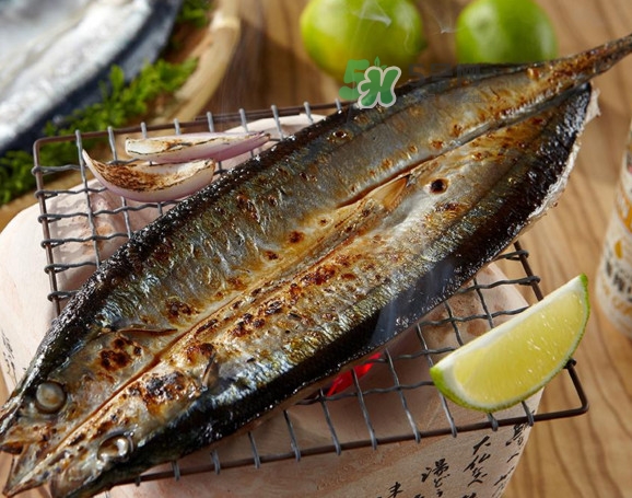 秋刀魚有刺嗎？秋刀魚刺多嗎？