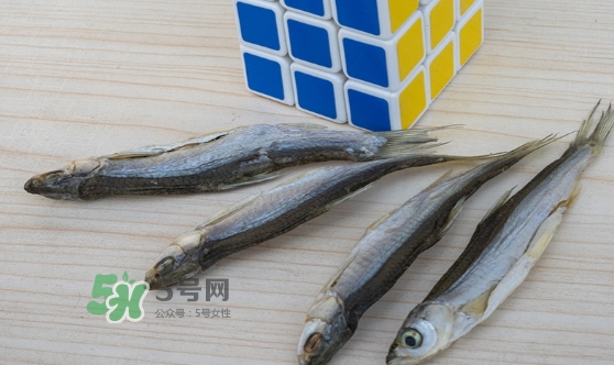 刁子魚是發(fā)物嗎？刁子魚是不是發(fā)物