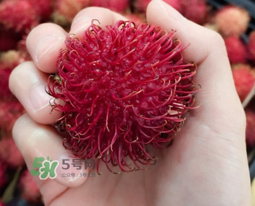 紅毛丹是什么水果？紅毛丹是熱性水果嗎？