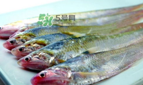 刁子魚是秋刀魚嗎？刁子魚是海魚嗎？