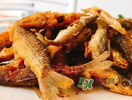 刁子魚多少錢一斤？刁子魚價格表