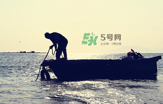 剝皮魚孕婦可以吃嗎？懷孕可以吃剝皮魚嗎？