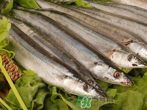 秋刀魚為什么那么便宜？秋刀魚為什么叫秋刀魚