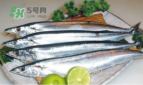 沙丁魚和秋刀魚有什么不一樣？秋刀魚和沙丁魚的區(qū)別