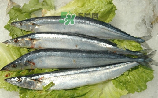 秋刀魚為什么那么便宜？秋刀魚為什么叫秋刀魚