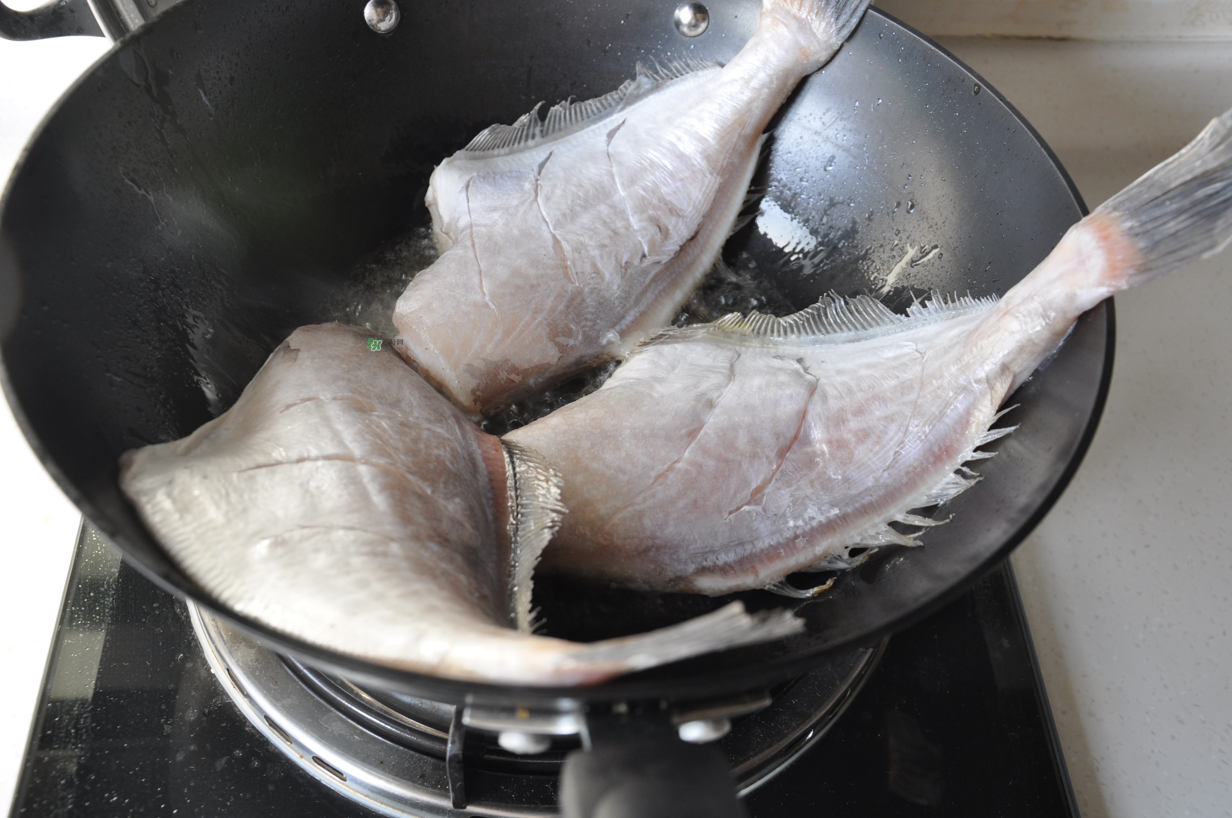 剝皮魚孕婦可以吃嗎？懷孕可以吃剝皮魚嗎？