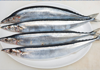 秋刀魚是海魚嗎？秋刀魚是淡水魚還是海魚
