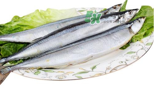 秋刀魚(yú)是海魚(yú)嗎？秋刀魚(yú)是淡水魚(yú)還是海魚(yú)
