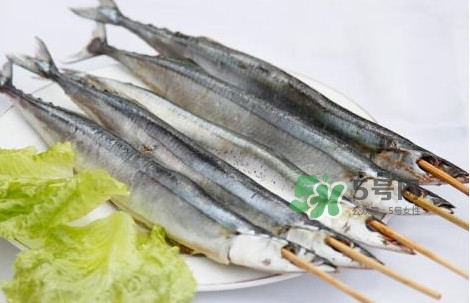 秋刀魚(yú)是海魚(yú)嗎？秋刀魚(yú)是淡水魚(yú)還是海魚(yú)