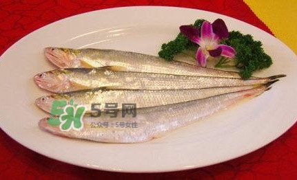 秋刀魚是刀魚嗎？秋刀魚和刀魚的區(qū)別