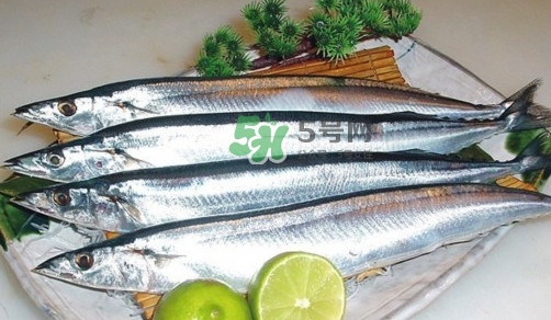 秋刀魚是刀魚嗎？秋刀魚和刀魚的區(qū)別