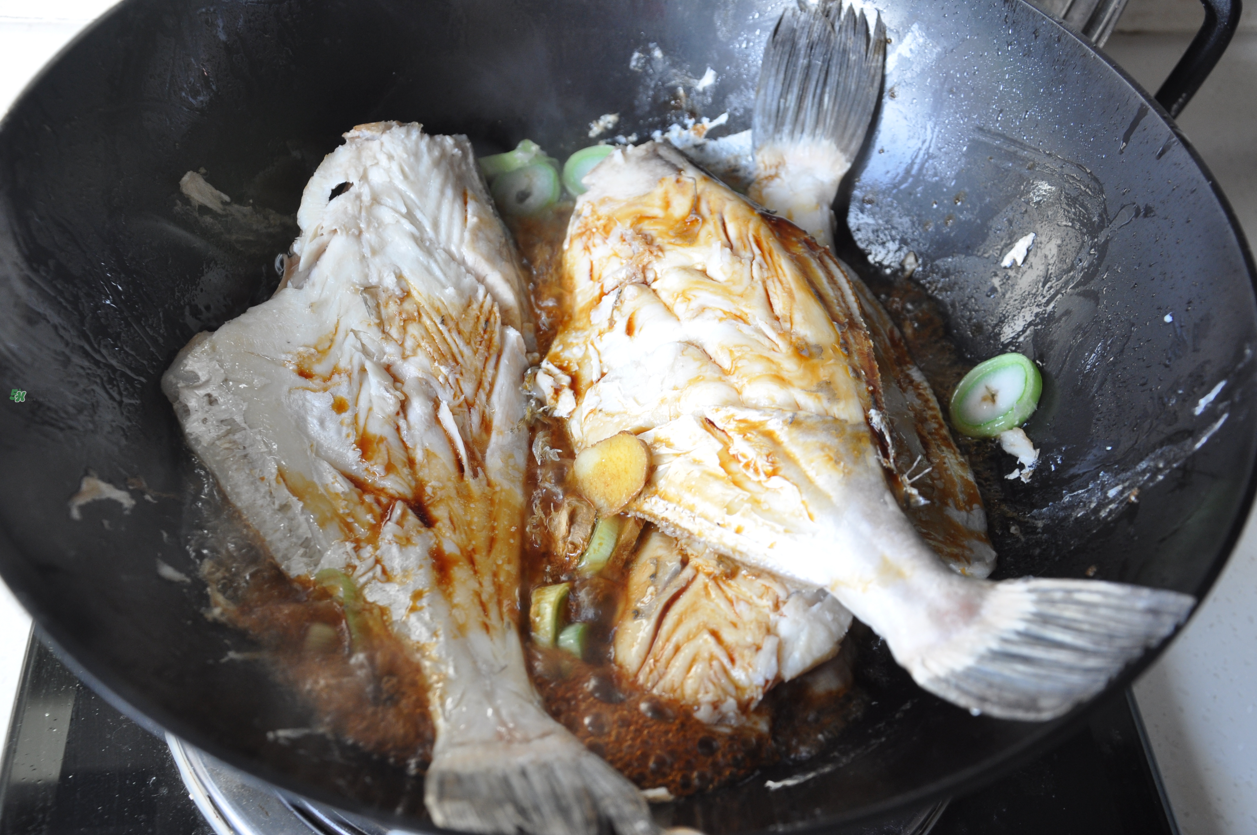 剝皮魚孕婦可以吃嗎？懷孕可以吃剝皮魚嗎？