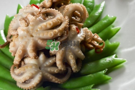 八爪魚的頭能吃嗎？八爪魚的頭里面是什么