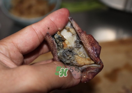 筆管魚怎么清洗？筆管魚怎么處理