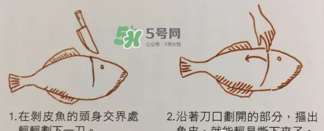 剝皮魚為什么要剝皮？剝皮魚的皮有毒嗎？