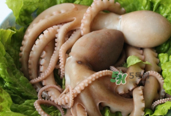 八爪魚的頭能吃嗎？八爪魚的頭里面是什么