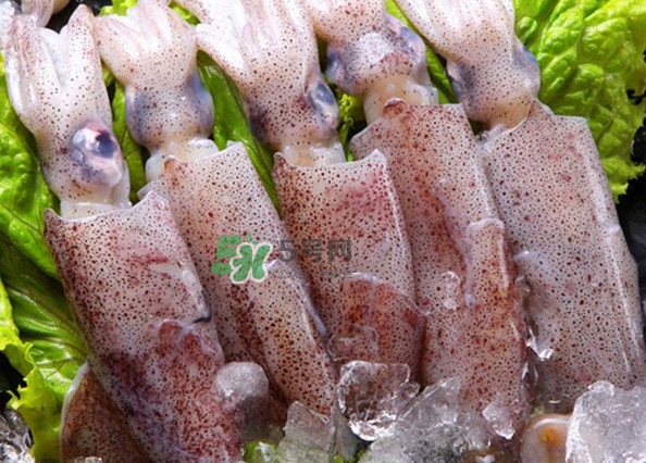筆管魚怎么清洗？筆管魚怎么處理