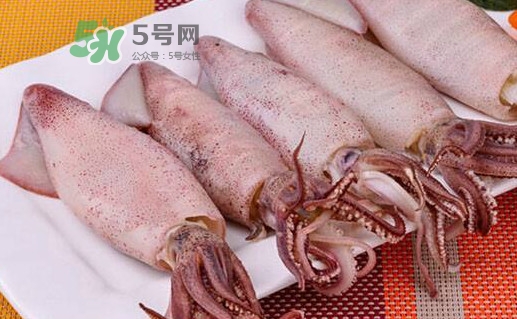 海兔子是小魷魚嗎？海兔子和魷魚的區(qū)別