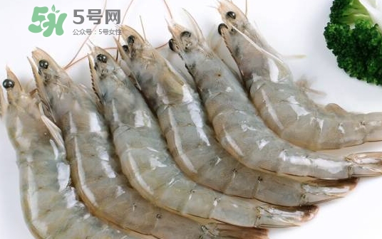 厄瓜多爾蝦是海蝦嗎？厄瓜多爾蝦好吃嗎？