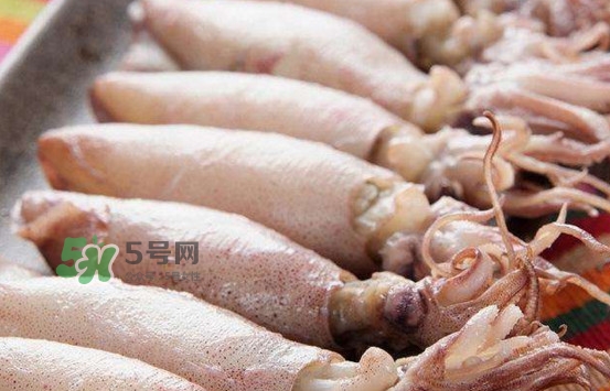 海兔子是小魷魚嗎？海兔子和魷魚的區(qū)別