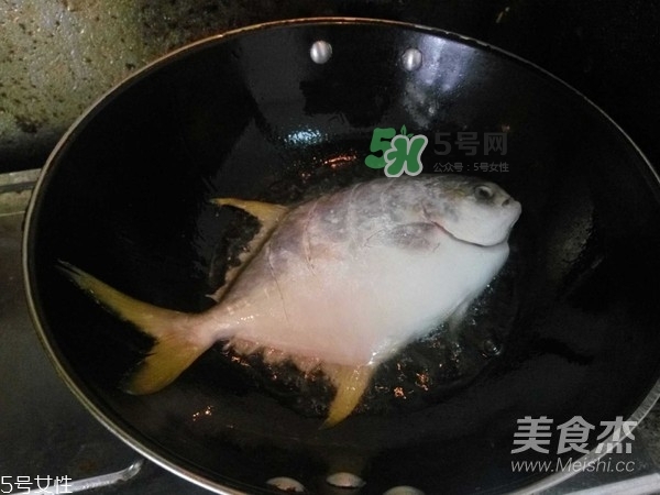 金鯧魚是海魚嗎？金鯧魚的刺多嗎？