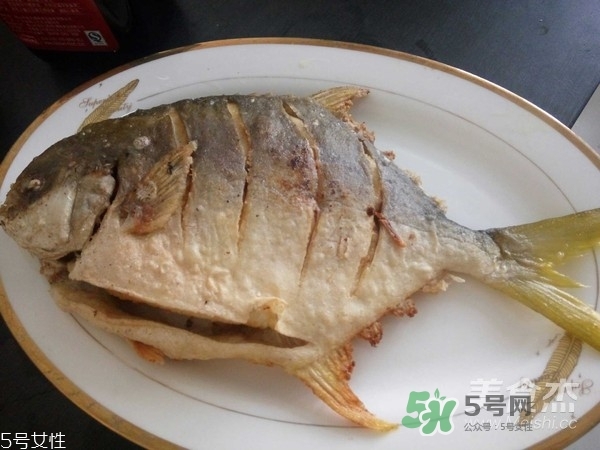 金鯧魚是海魚嗎？金鯧魚的刺多嗎？