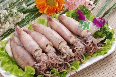 筆管魚是魷魚嗎？筆管魚和魷魚的區(qū)別