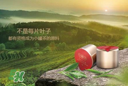小罐茶怎么樣？小罐茶真的有那么好么
