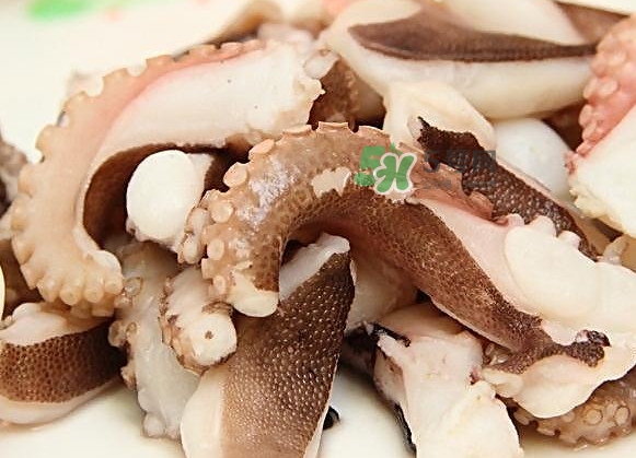 章魚有幾只腳？章魚有幾個爪子
