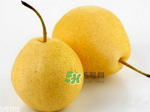 貢梨可以做冰糖雪梨嗎？貢梨可以燉川貝嗎？