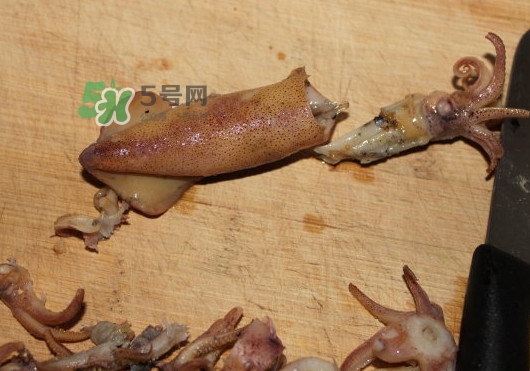 筆管魚怎么清洗？筆管魚怎么處理