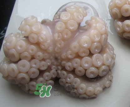 章魚有牙齒嗎？章魚天敵是什么