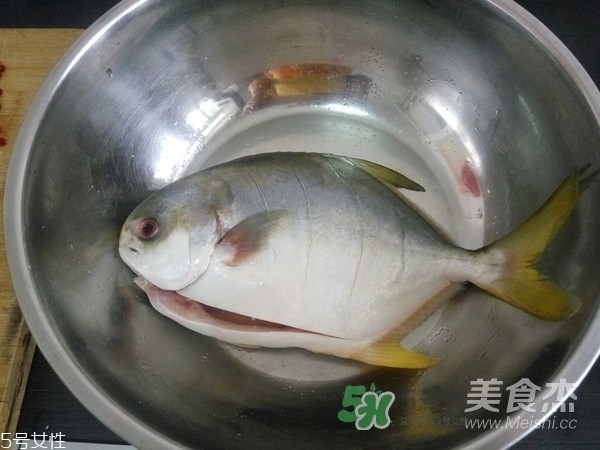 金鯧魚是海魚嗎？金鯧魚的刺多嗎？