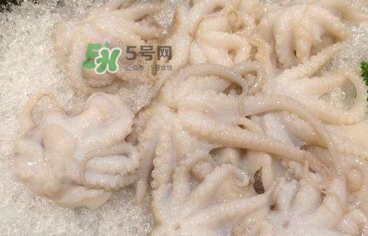 八爪魚的頭能吃嗎？八爪魚的頭里面是什么