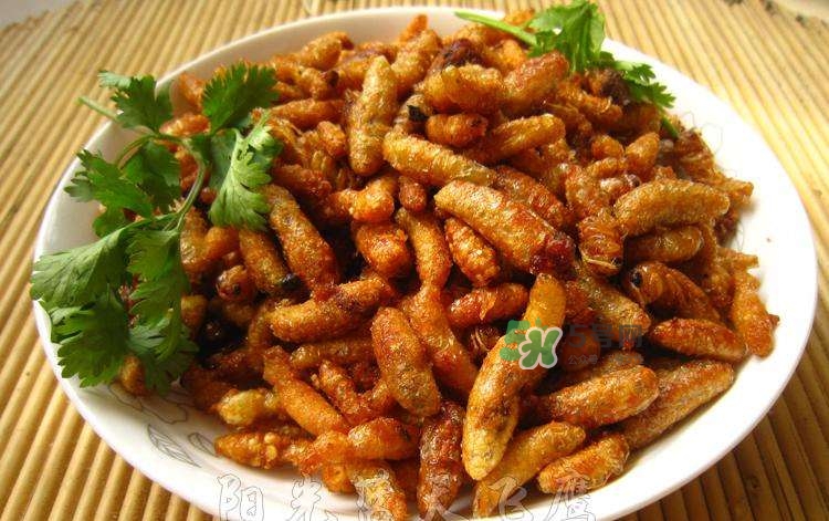 蜂蛹可以生吃嗎？蜂蛹的營養(yǎng)價值
