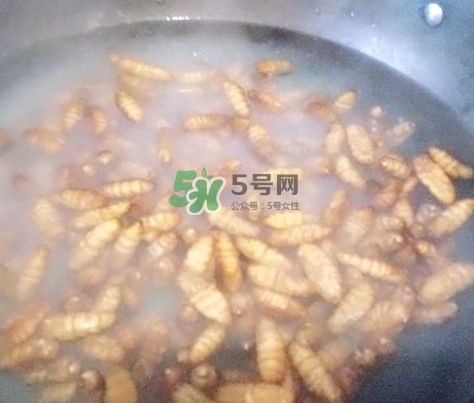 蜂蛹怎么保存？蜂蛹怎么做好吃？