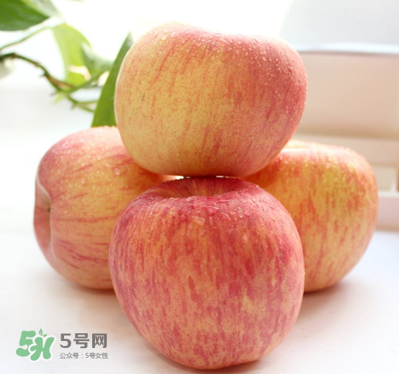 蘋果種類有哪些？蘋果種類哪種最好