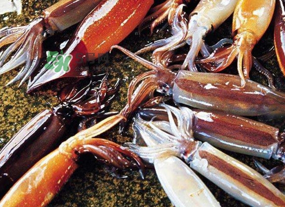 魷魚是堿性食物嗎？魷魚是酸性還是堿性？