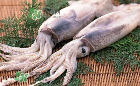 魷魚是海魚嗎？魷魚怎么炒好吃