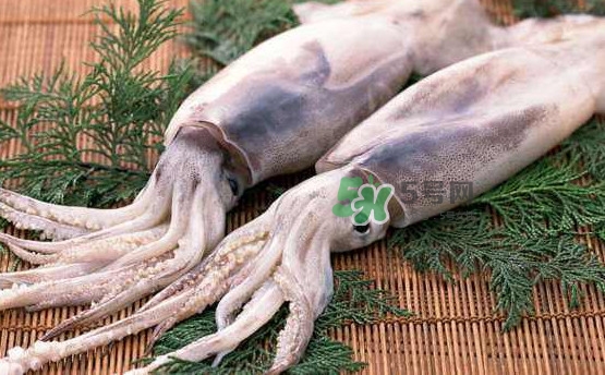 魷魚頭怎么切？魷魚怎么切花刀
