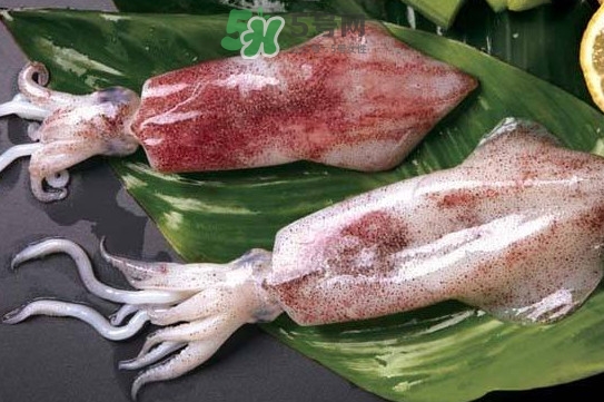 新鮮魷魚怎么處理？魷魚怎么清洗？
