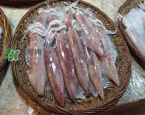 新鮮魷魚怎么保存？魷魚可以冷凍嗎