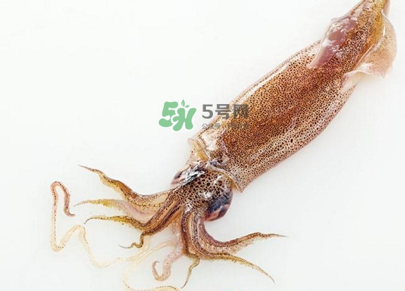 魷魚(yú)要焯水嗎？魷魚(yú)怎樣焯水