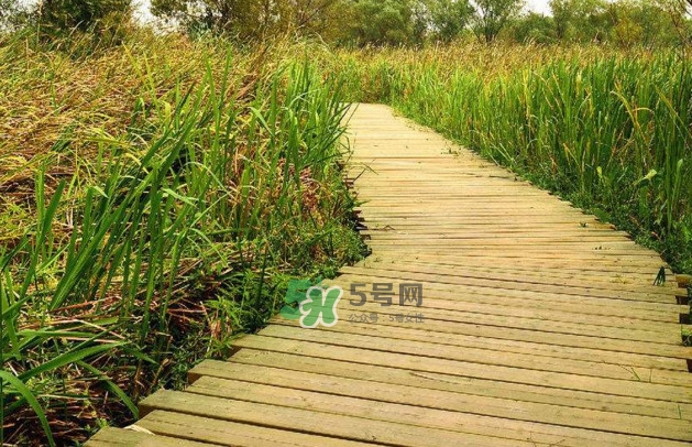 心碎綜合癥是抑郁癥嗎？心碎綜合癥怎么治療