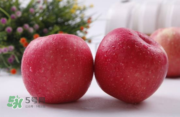 蘋果是什么季節(jié)的水果？蘋果什么時(shí)候吃最好