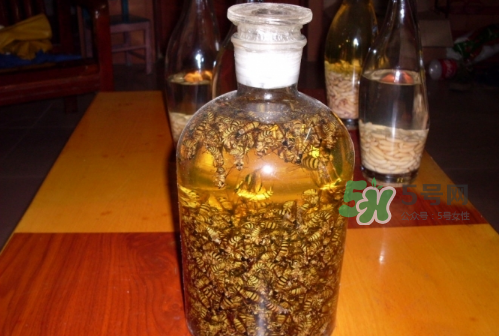 蜂蛹和枸杞能一起泡酒嗎？蜂蛹和枸杞泡酒的功效