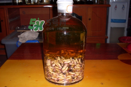 蜂蛹和枸杞能一起泡酒嗎？蜂蛹和枸杞泡酒的功效