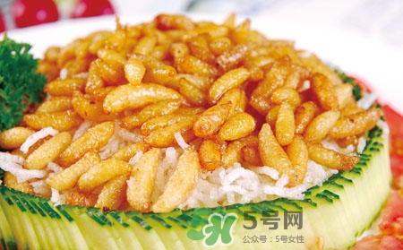 吃蜂蛹過(guò)敏了怎么辦？蜂蛹過(guò)敏的癥狀