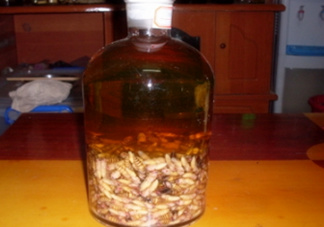 蜂蛹和枸杞能一起泡酒嗎？蜂蛹和枸杞泡酒的功效