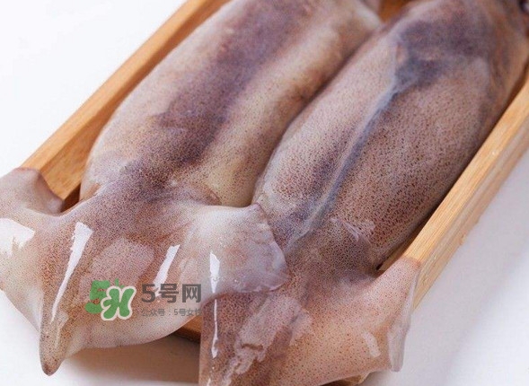 新鮮魷魚怎么保存？魷魚可以冷凍嗎